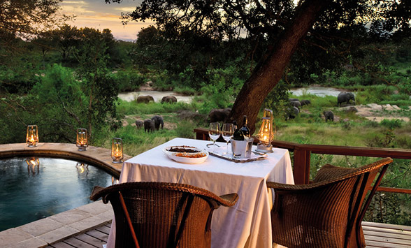 View from the private deck of Elephants browsing the river banks at dusk.