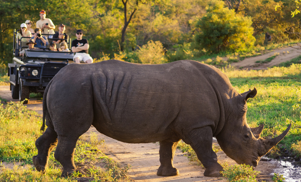 Kruger Safari holidays