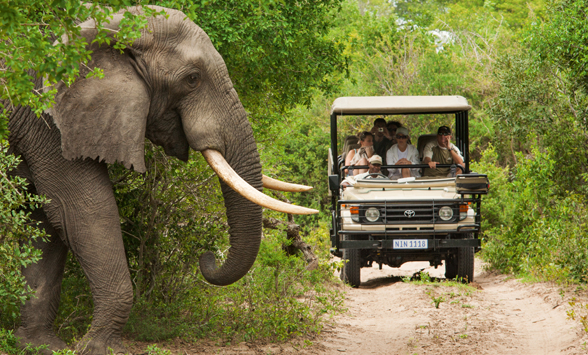 Malaria free safari holidays