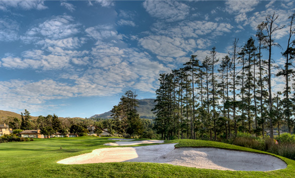 Tall pine trees lining the golf fairways with a white sand bunker in foreground.