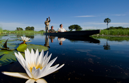 Top safari lodges in Botswana