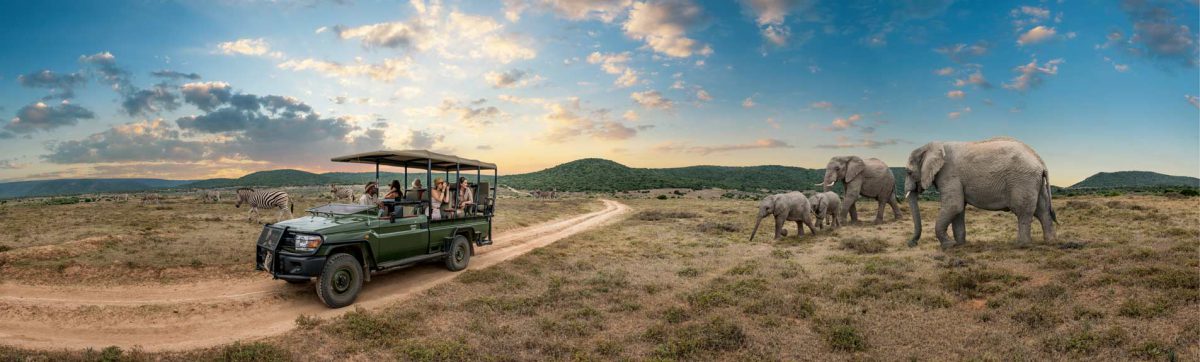 Luxury Safari lodges in South Africa