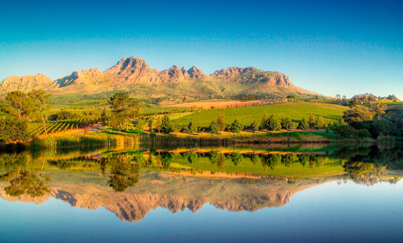 FAQ about the Cape Winelands.