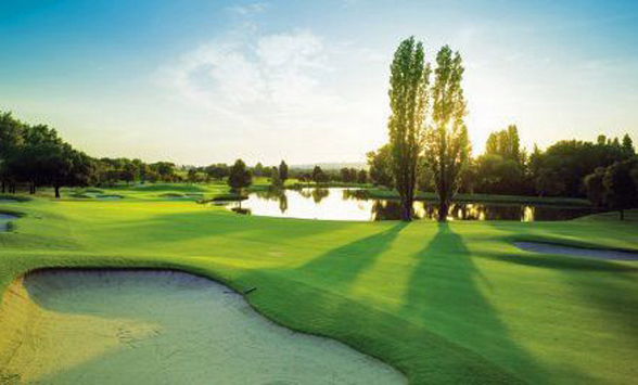 Sunrises over the golf course casting long shadows across the green fairways from the poplar trees.