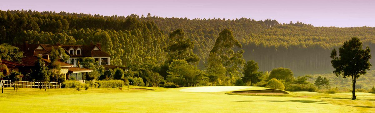 a pine forest is the backdrop to the lush fairway and houses on the White River golf course.