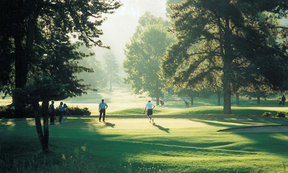 golfers walking through the misty fairways and trees.