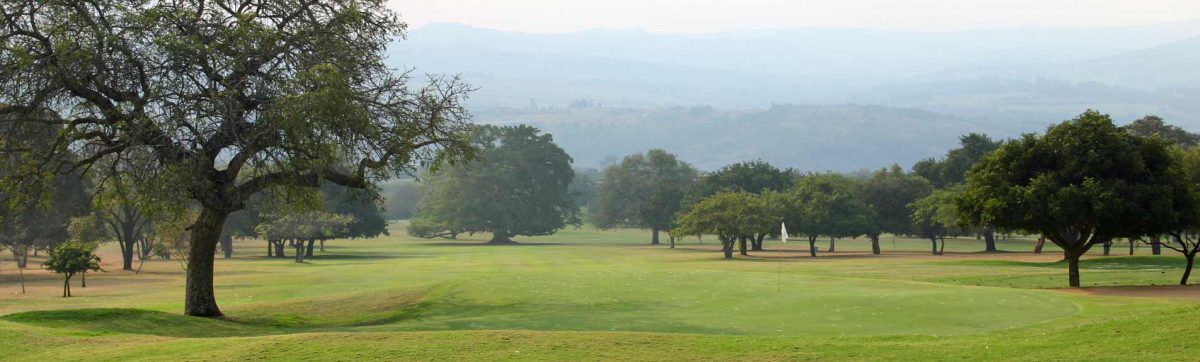 Mist lingers in the morning air over the trees that flank the fairways of the golf course.