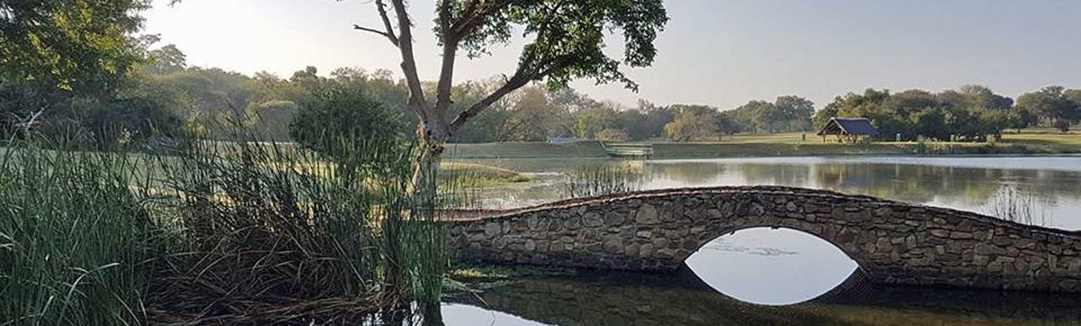 morning mist hangs over the lake with a bridge in the foreground.