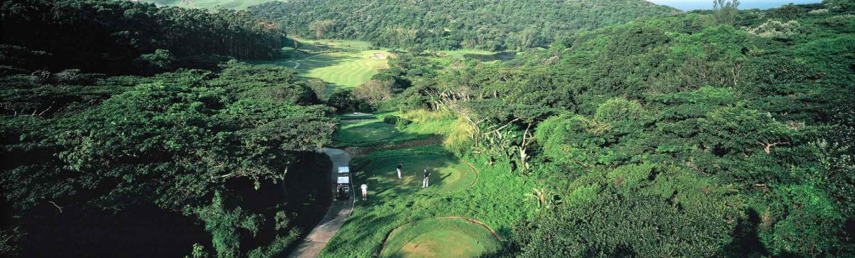 Golf at the Fairmont Zimbali Hotel with lush green fairways surrounded by trees.