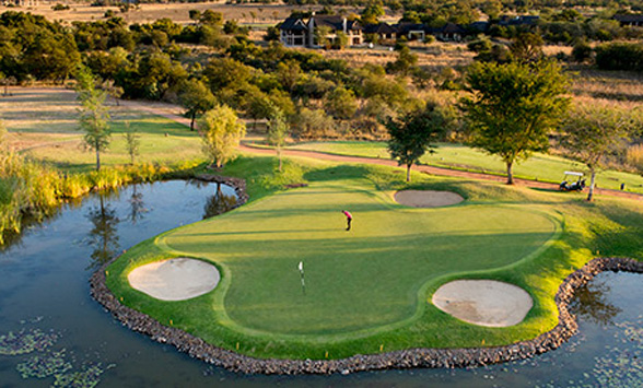 lone golfer stands in the centre of an island green with long shadows cast across the surface.