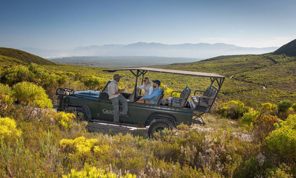 Nature drive in the Grootbos Floral Reserve surrounded by indigenous fynbos plants