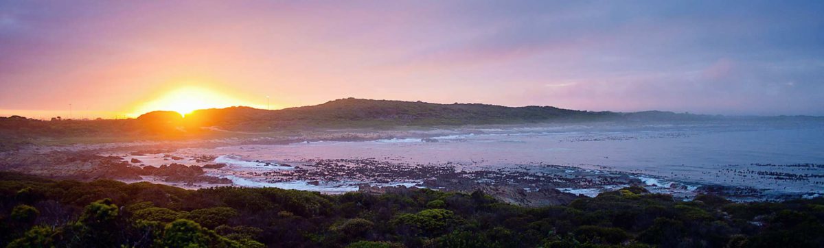 Garden Route Golfing Holidays.