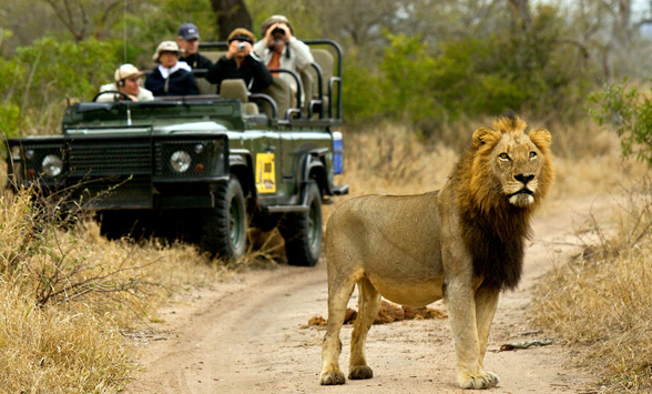 Best game viewing in south africa