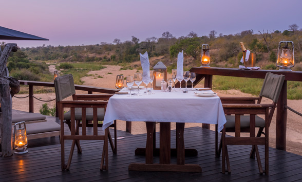 Safari holidays in the Kruger.