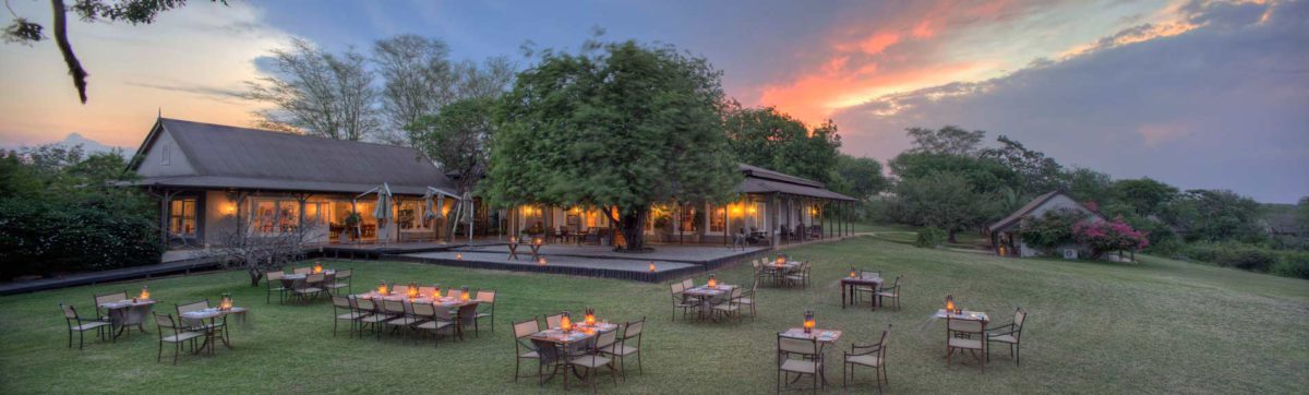 Top safari lodges in the Kruger