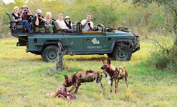 Luxury Safari holidays in South Africa.