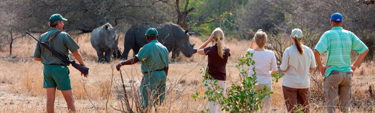 guests and rangers walking through the Kruger Park tracking a rhino.