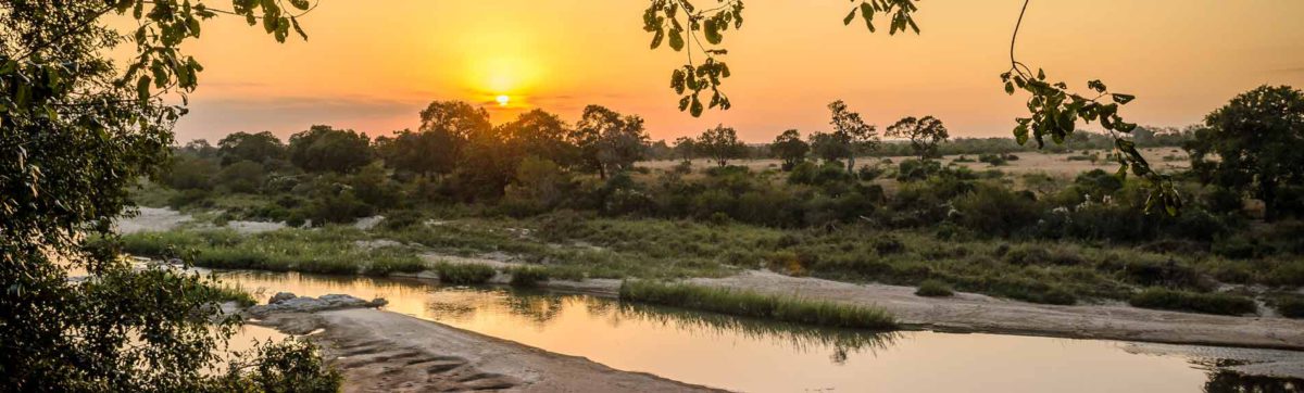 Luxury safari lodges in the Kruger