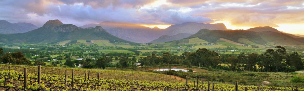 Sunset over Franschhoek Valley vineyards from La Petite Ferme