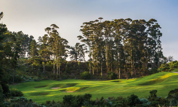 The Par 3 golf green surrounded by trees at Pezula.