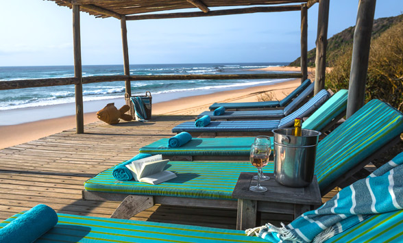 Sun loungers on the beach at Thonga Beach Lodge.