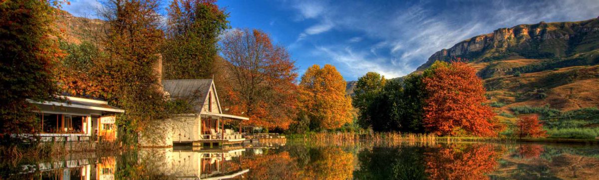 Autumnal colours in the trees on the lake at Cleopatras Mountain Farmhouse