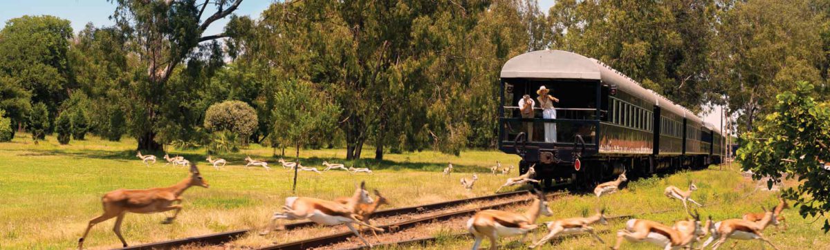 Couple watching springbok on the Observation deck of the Rovos Rail Train.