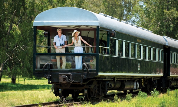 Couple standing on the back of the Observation Carriage of the Rovos Rail Train watching impala.