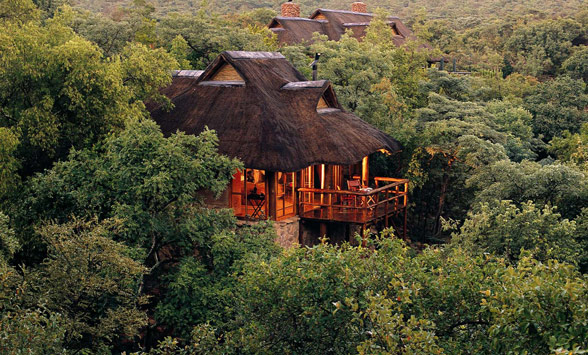 Makweti safari lodge building hidden in the bush veld.