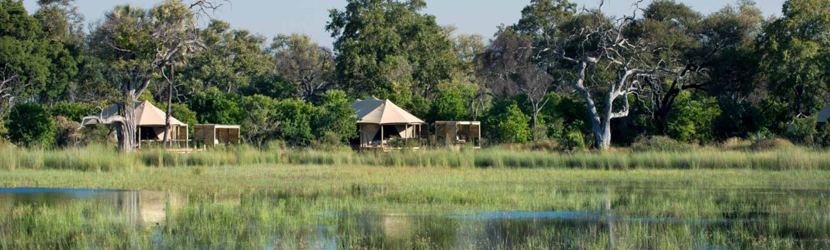 safari tents nestled in the trees overlooking the flood plains.