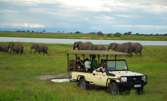 Guests on a game drive in Chobe National park watching elephant by the river.