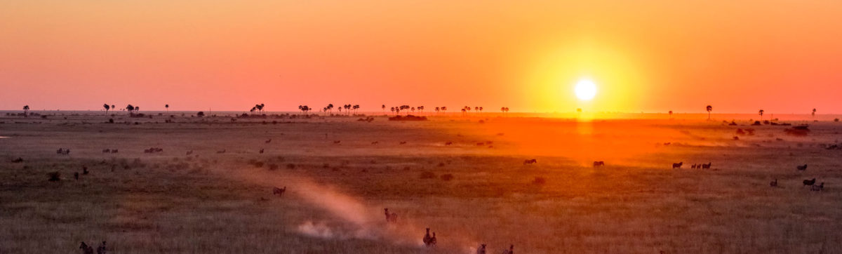 sun set in Botswana across the kalahari desert