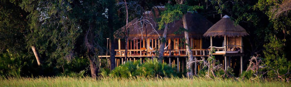 Jao Camp exterior on wooden stilts above the delta flood plains.