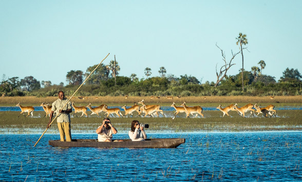 Guests on a moro safari with letchwe running through the shallows.