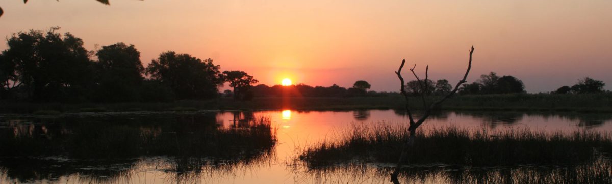 sunset reflected in a lagoon in the okavango delta