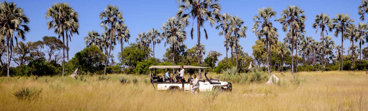 game viewing on a drive from Stanley's Camp into the Okavango Delta.