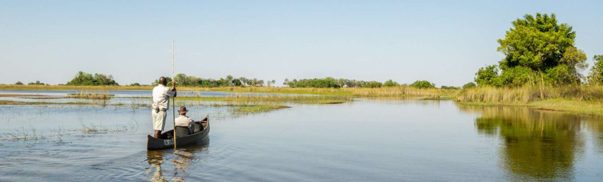 Mokoro canoe gliding along the channels of the Delta with poler at the helm