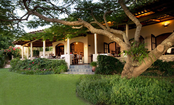 views across the lawn at Casa Rex of the patio as dusk falls.