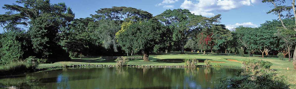 views across the lake to the green at Karen Country Club.