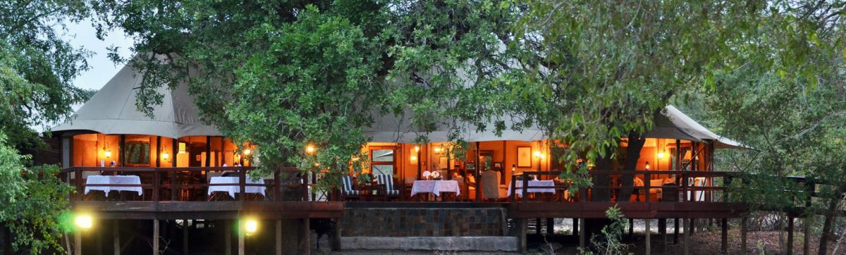 Tented safari camp seen through the trees at dusk